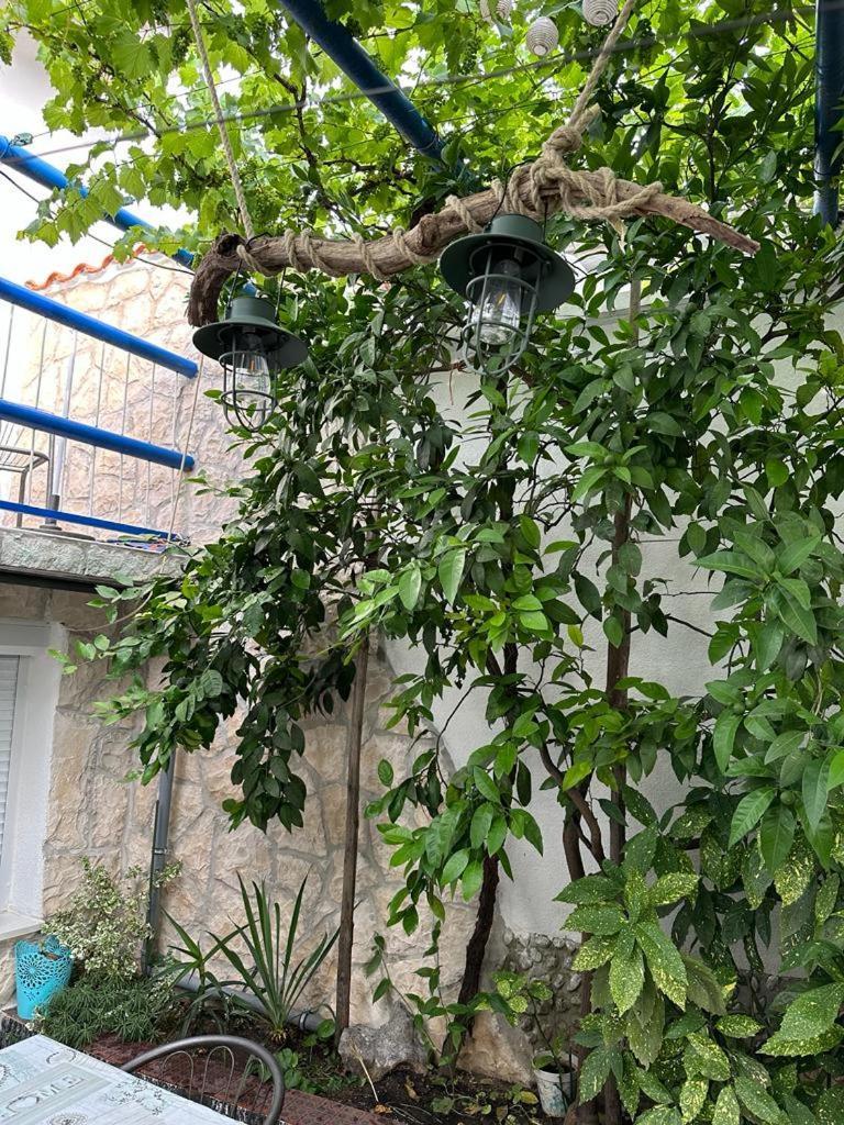 Vila Katica Брибир Экстерьер фото