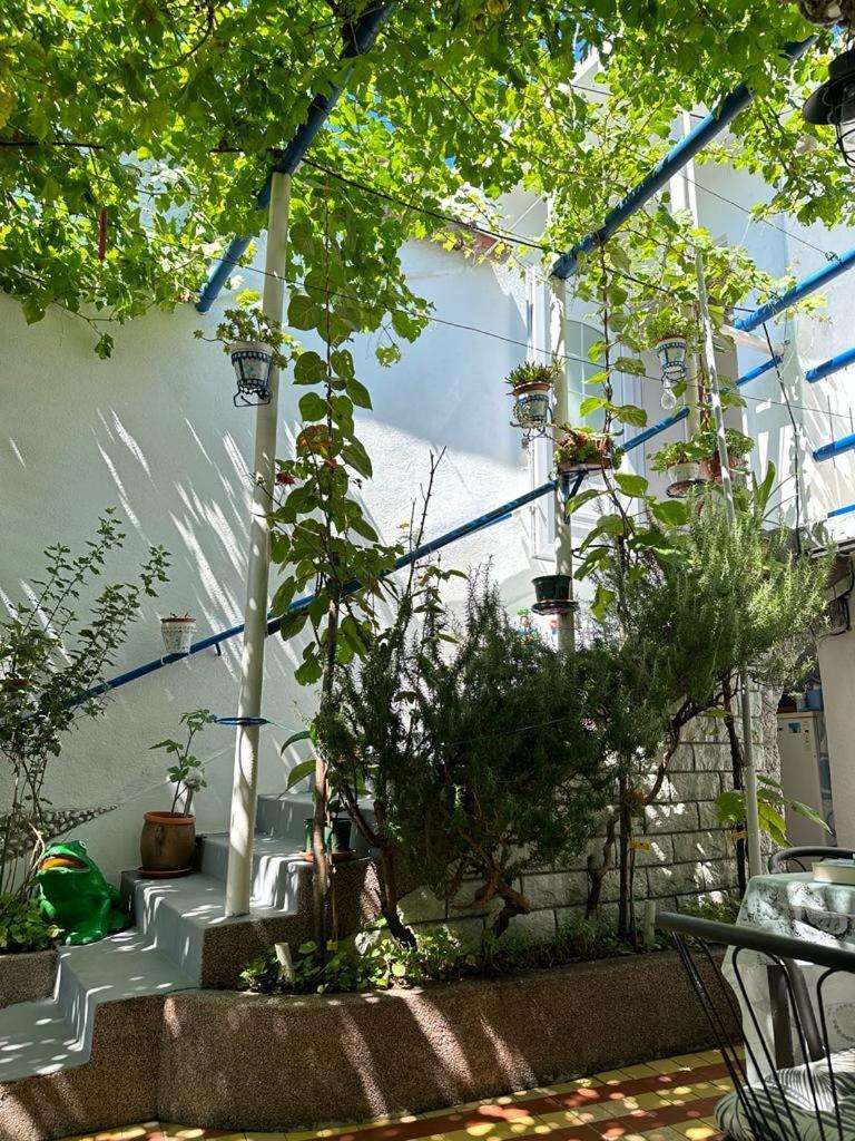 Vila Katica Брибир Экстерьер фото